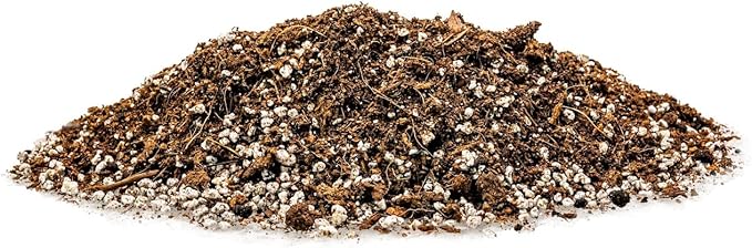 Gardenera Professional Carnivorous Plant Soil - Ready to Use for Venus Flytraps, Sundews, Pitcher Plants, Butterworts | Peat Moss, Coco Coir, Perlite - 1 Quart Bag