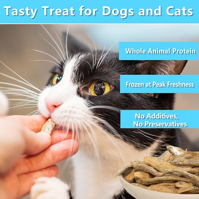 Minnows - 6.5 oz Freeze Dried Minnows for Cat & Dogs, 100% Natural Premium Cat & Dog Treat， (6.5 OZ)