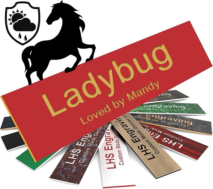 Personalized Horse Stall Name Plates, 2x8 Horse Stall Signs with Adhesive, All Weather UV Protected, Red Plastic Gold Letters - Made in USA - B17