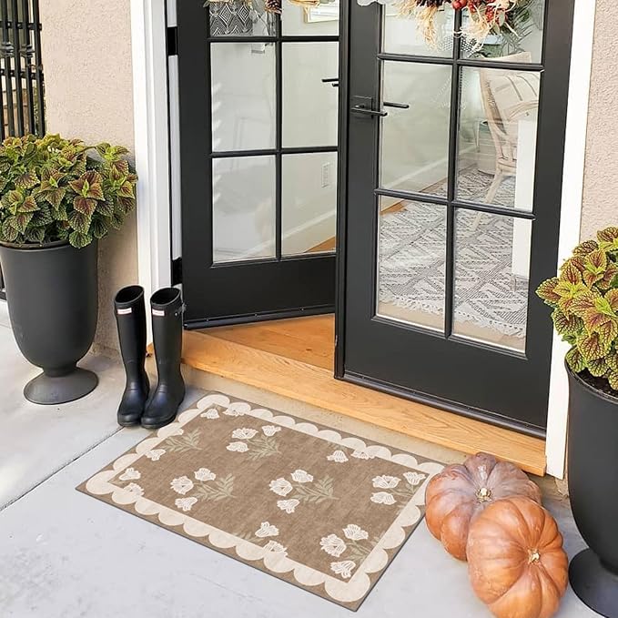 Front Door Mat Outside Entrance