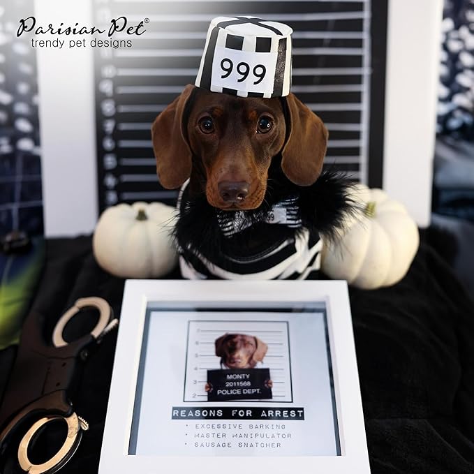 Parisian Pet Prisoner Dog Shirt - Black and White Striped Cotton Costume - Lightweight Polyester Sleeved Outfit for Large Dogs - Pet Clothes - 5XL
