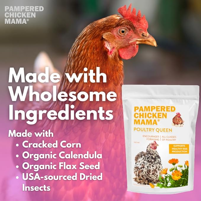 Pampered Chicken Mama Non-GMO Mealworm, Corn, Flax, & Herb Treat for Backyard Chickens, Healthy Layer Feed & Supplies for Pet Chickens Poultry Queen Treat for Hens (3 pounds)