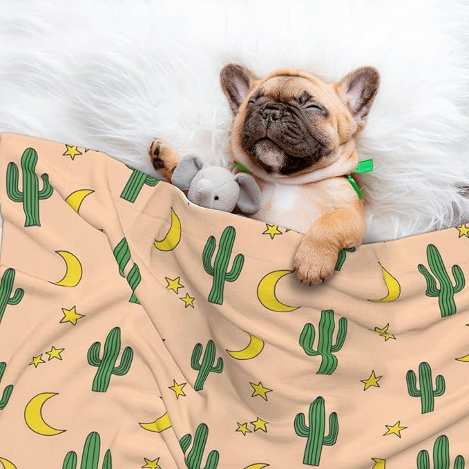 Reversible Dog Blanket for Beds Couches, Cactuses Moon, Double Sided Cat Blanket with Textured Dot Feel and Smooth Feel for Seasonal Comfort All Year