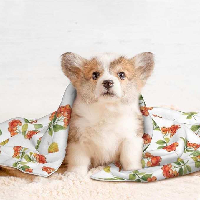Reversible Plush Dot Pet Blanket for Dogs and Cats, Flower Berries Autumn Orange Art Pattern, Ultra Soft Two Sided Design with Warm Fuzzy Side and Smooth Side for Comfort
