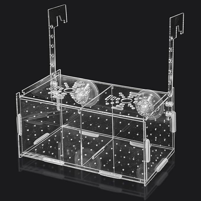 PINVNBY Acrylic Fish Breeding Box，Guppy breeding Box Acrylic Fish Isolation Box Aquarium Incubator with Suction Cups for Guppy Shrimp Small Baby Fishes（7.87 x 3.9 x 3.9 in）