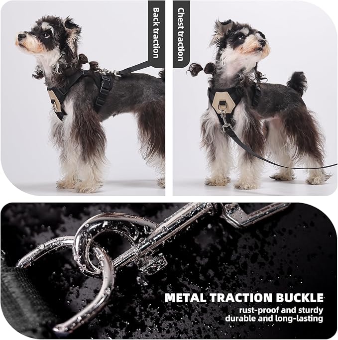 Small Dog Harness and Leash Set, Breathable Mesh Puppy Harness, Adjustable Dog Harness for Small Medium Large Dogs, No-Pull Pet Harness for Daily Walking (Black, Large)
