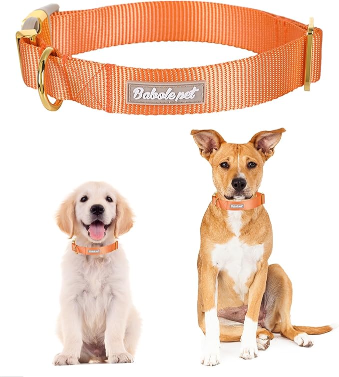 Nylon Dog Collar - Adjustable Orange Soft Webbing Dog Collars for Small Medium Large Dogs Boy Girl Puppy Collar with Safety Metal Buckle XS