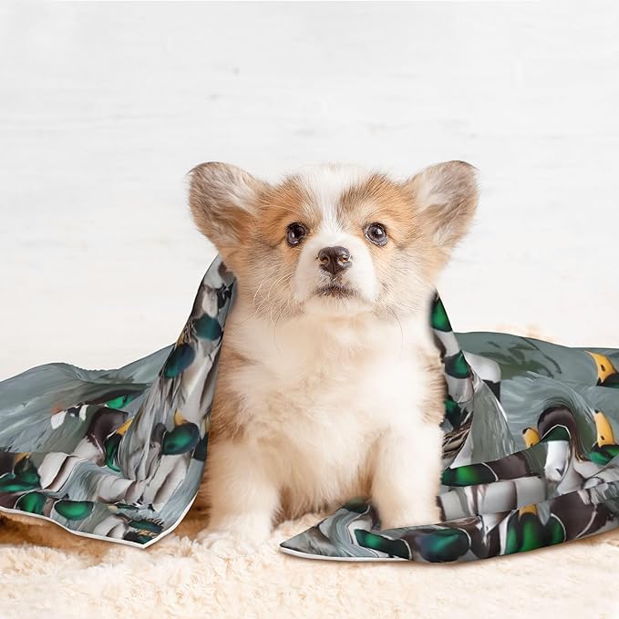 Waterproof Dog Blanket Soft Pet Blanket for Puppy Cat, Fleece Cat Throw Blankets for Furniture Bed Couch Sofa Reversible - Mallard Ducks Swimming