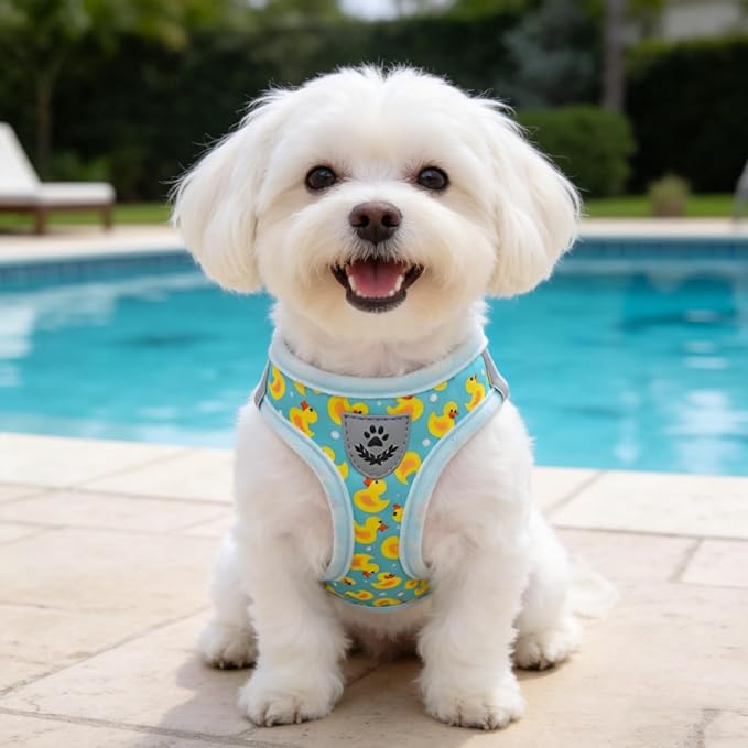 SCENEREAL Small Dog Harness and Leash Collar Set, Step in Soft Light Puppy Vest, Breathable Pet Harness for Small Sized Dogs, No Chock Reflective for Safe Outdoor Walking, Yellow Duck S