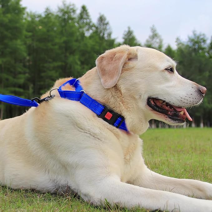 Joytale Martingale Collar for Dogs, Reflective Heavy Duty for Safety, Quick Release Buckle, Adjustable Nylon Collars for Medium Dogs Walking Training, Navy Blue,M