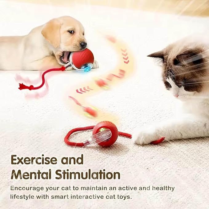 2 PCS Interactive Cat Toy Rolling Ball Chewie Viral Dog Ball, Smart Automatic Rolling Pet Balls,Automatic Moving Electric Cat Toy