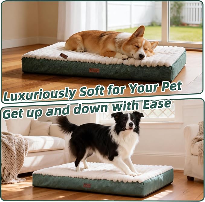 Orthopedic Dog Bed with Firm High-Density Egg Crate Foam, Machine Washable Cover & Non-Slip Bottom for Medium Breeds (Green, 29" L x 18" W x 3" H)