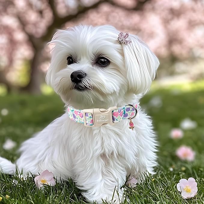 Floral Dog Collar for Large Dogs - Pink Purple Tulips Print Dog Collars, Spring Summer Cute Flower Puppy Collar, Lightweight Adjustable April Holiday Boy Girl Dogs Collars XL