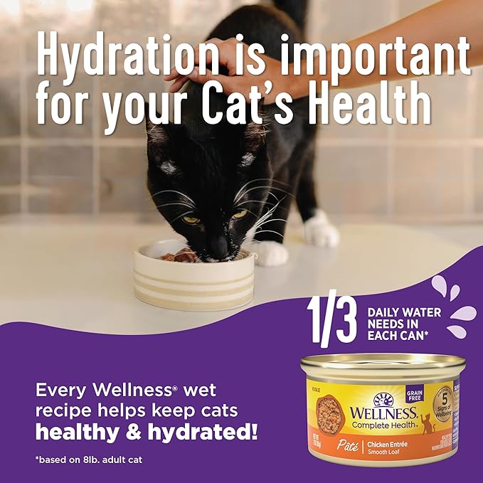 Wellness Complete Health Minced Adult Wet Cat Food, Natural, Protein-Rich, Grain Free, 5.5 Ounce, 24 Pack, (Turkey & Salmon Entrée)