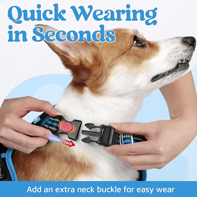 rabbitgoo Dog Harness for Large Dogs, No Pull Pet Vest with 3 Buckles, Adjustable Soft Padded Pet Harness with Easy Control Handle and Reflective Strips, Black & Sky Blue, L