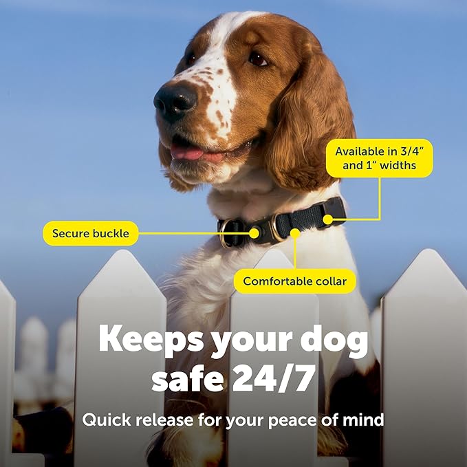 PetSafe KeepSafe Collar for Dogs - Protects Against Collar Accidents - Long Lasting - Durable - Adjustable - Breakaway - Outdoor-Safe - Large - 1 In. Wide - Blue