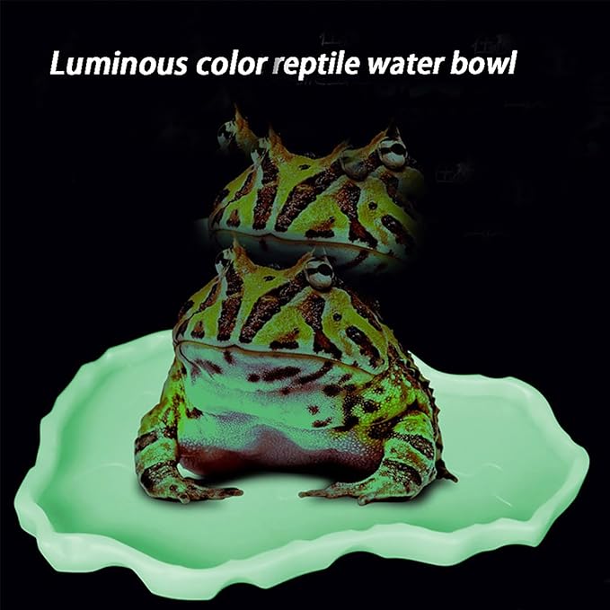 Luminous Reptile Food Bowl and Water Dish - Large Terrarium Bowl for Tortoises