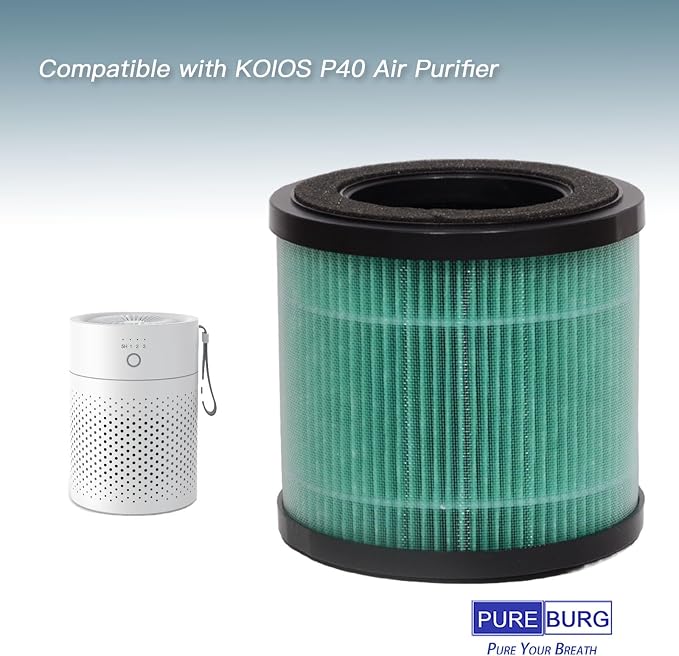 PUREBURG Replacement Filter Compatible