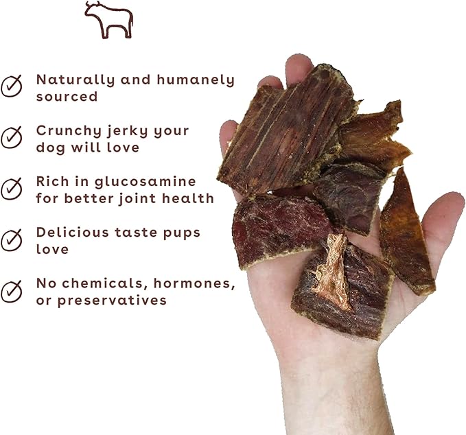 Pupford Crunchy Jerky Treats for Dogs & Puppies, Made in USA, Single Ingredient, No Fillers (Beef, 8 oz)