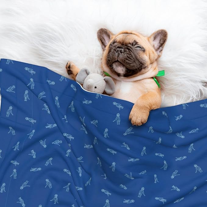 Reversible Plush Pet Blanket for Puppies Kittens, Blue Background, Double Sided Gentle Dot Texture for New Pets Adjusting to Home Environment Softly