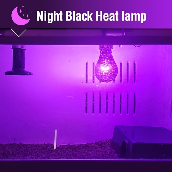 Leoterra Night Heat Bulbs for Reptile 2Pack100W,Night Black Light Bulbs for Lizard Bearded Dragon Leopard Snake Turtle, Chameleon Use 120V E26 Base
