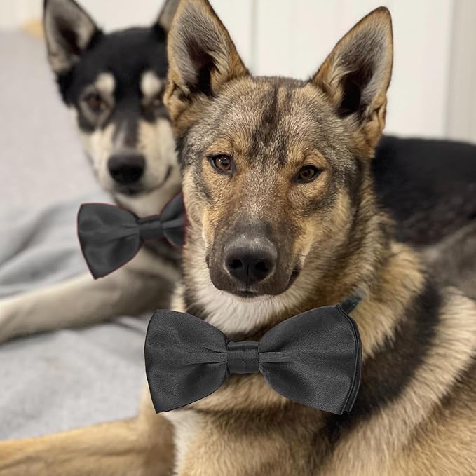 Black Bow Tie for Dogs, KOOLMOX Adjustable Dog Bow Tie Collar for Medium and Large Dogs Cats Pets Wedding Birthday Graduation Holiday Christmas Cosutmes