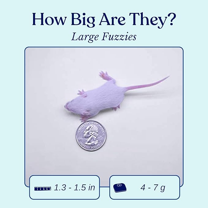 MiceDirect EST. 2003 75 Frozen Mice Fuzzie Feeders Snake Food for Juvenile Hognose Corn milks (1.25-1.5 in) (300 Grams Min)