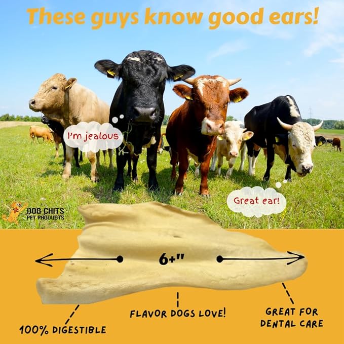Dog Chits Cow Ears for Dogs – All Natural Cow Ear Dog Treats & Training Chews – High Protein, Low Fat – Thick Cut, Half Ears – Dental Clean Crunch – Ideal for Medium & Large Dogs – Large, 10 Pk