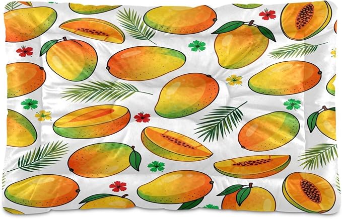 Mango Fruit Dog Beds Crate Pad Washable Pet Mat for Dogs Cats, Non-Slip Travel Bed Pad, Indoor Outdoor Kennel Pad 36x24in