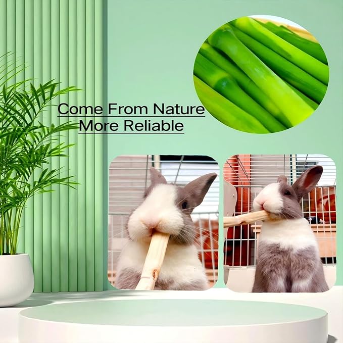 William Craft 500g Snacks Sweet Bamboo Chew Toy for Rabbits Chew Sticks for Hamster Chinchilla Guinea Pig,Molar Treats Snack for Small Animals