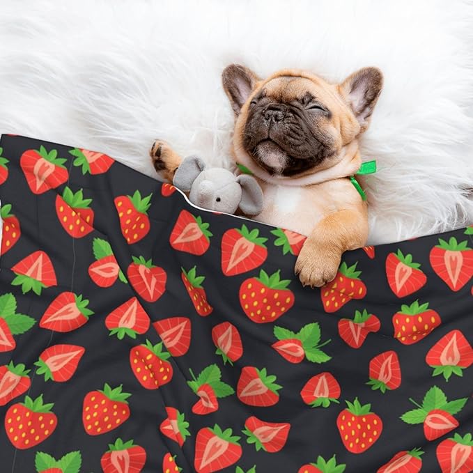 Two Sided Pet Cuddler Blanket for Anxiety Calming, Cute Red Strawberry Pattern Black, Reversible Plush Design with Bubble Dot Pattern Provides Familiar Surface Anywhere