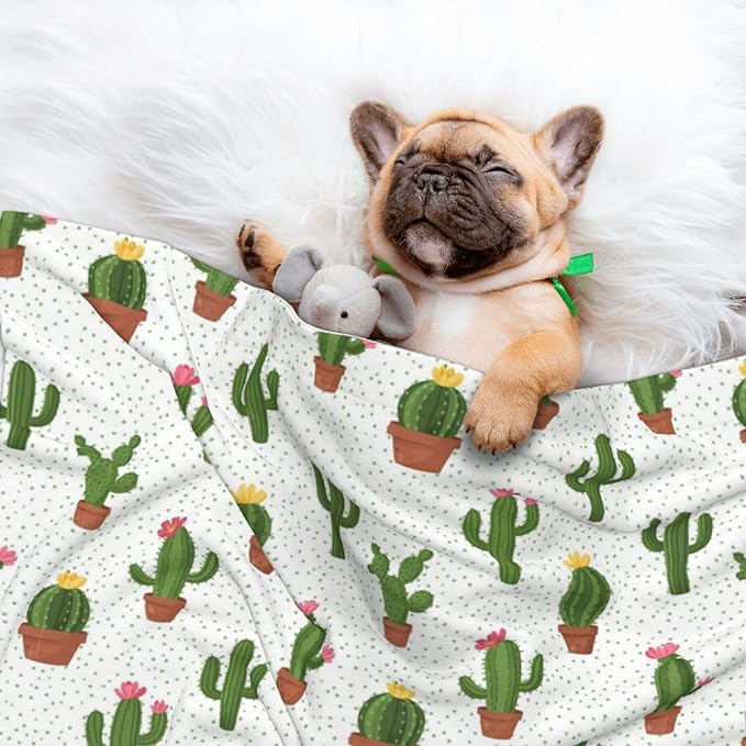 Two Sided Pet Cuddler Blanket for Anxiety Calming, Cactus Floral Bloom Flower Summer Tropical Watercolor, Reversible Plush Design with Bubble Dot Pattern Provides Familiar Surface Anywhere