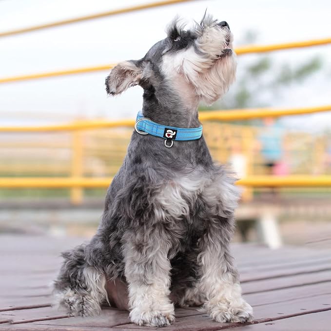 azuza Reflective Dog Collar,Soft Neoprene Padded Pet Collar with ID Tag Ring,Adjustable for Small Dogs,Sky Blue,S