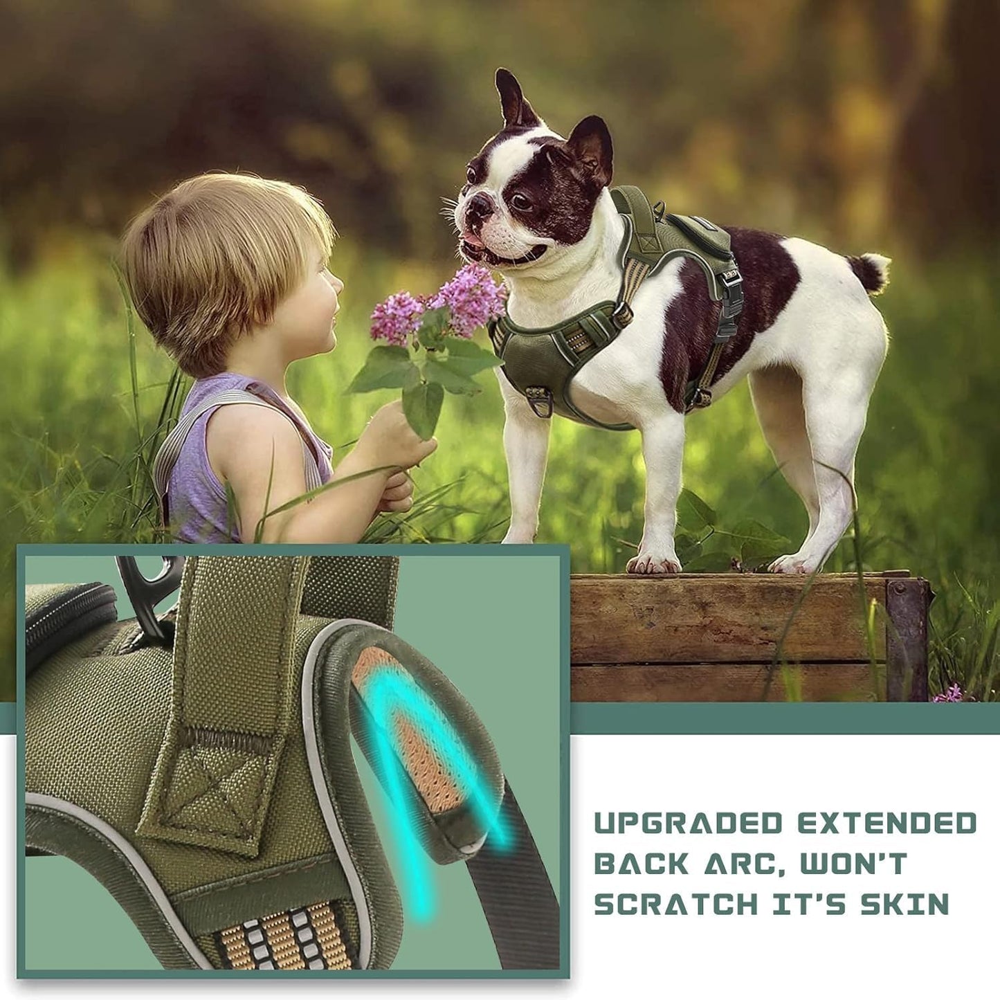 No Pull Dog Harness for Small Dogs, Adjustable No Choke Pet Vest with Dog Leash Fit Smart Reflective Pet Walking Harness for Training Easy Control Soft Handle Green S