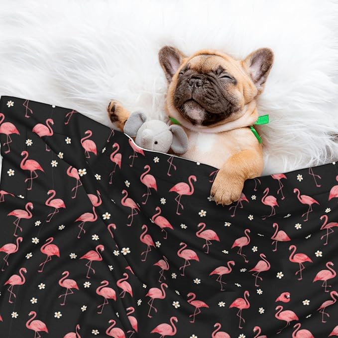 Reversible Dog Blanket for Beds Couches, Exotic Bird Pink Flamingos, Double Sided Cat Blanket with Textured Dot Feel and Smooth Feel for Seasonal Comfort All Year