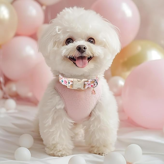 Cute Dinosaur Dog Collar, Adjustable Pink Dino Dog Collars for Small Dogs, Lightweight Quick-Release Buckle Birthday Collar for Boy&Girl Dogs S