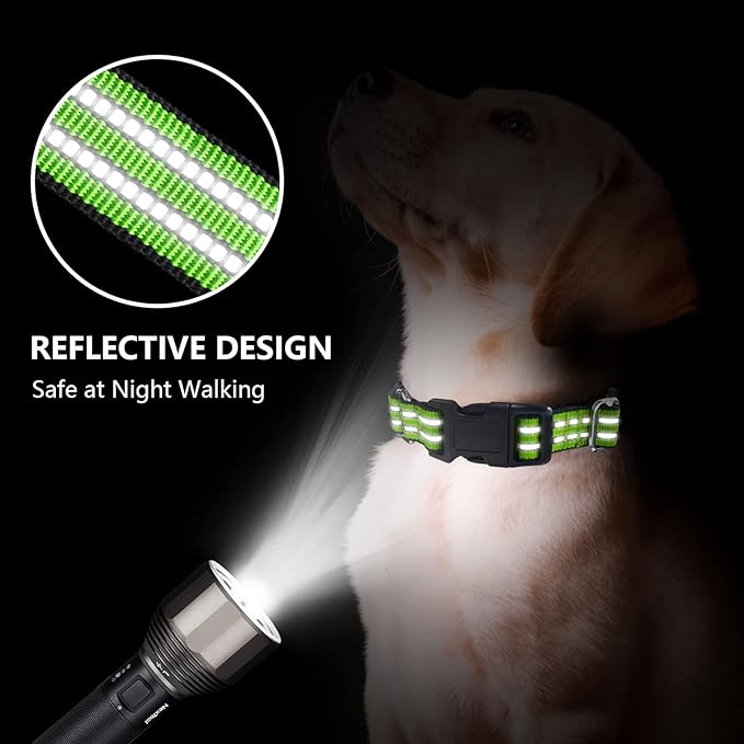Martingale Dog Collar, Adjustable Nylon Reflective Collar with Buckle No Pull Dog Collar for Small Medium Large Dogs (Lime Green Small)
