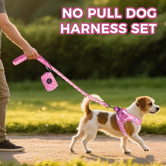 PAWCHIE Dog Harness and Leash Set, Step in No Pull Soft Pet Harness, Reflective Adjustable Puppy Vest for Small Medium Dogs Cats, No Choke Harness Vest with Poop Bag Holder for Walking,Running, Pink M