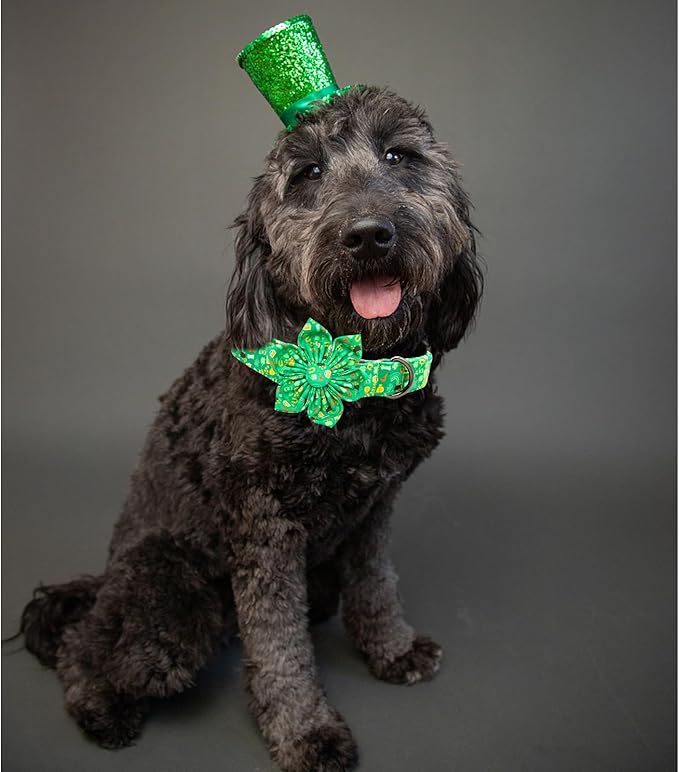Lionheart glory St. Patrick's Day Dog Collar with Flower Dog Collars for Small Dogs, Heavy Duty Green Collars Bows Lucky Clover Shamrock Pet Collar Flower Puppy