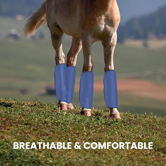 Mesh Fly Boots Horse Fly Boots Mesh Fly Wraps Leg Guard for Horse Set of 4