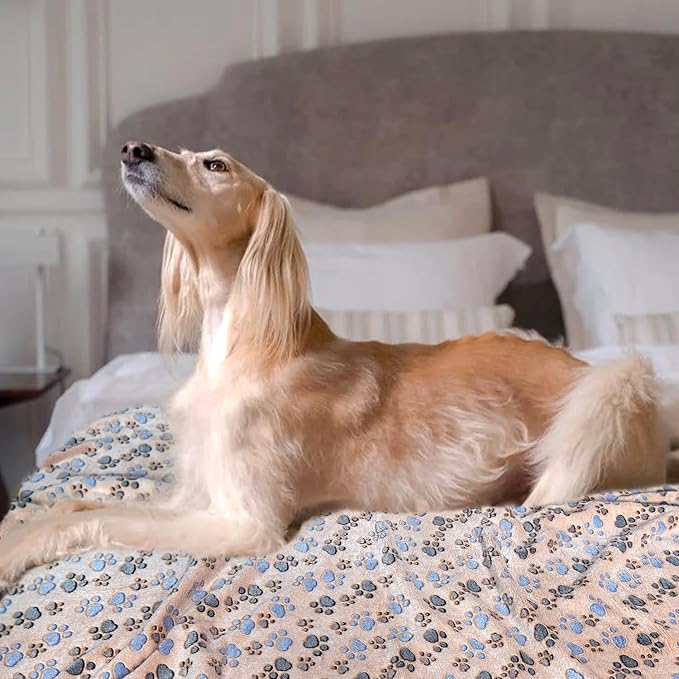 Dog Blankets for Medium Large Dogs Washable, 3 Pack Pet Blanket Washable 41" x 31", Fuzzy Soft Puppy Blanket Throw Cover for Kennel Crate Bed, Blanket for Dogs, Pet Blankets for Dog