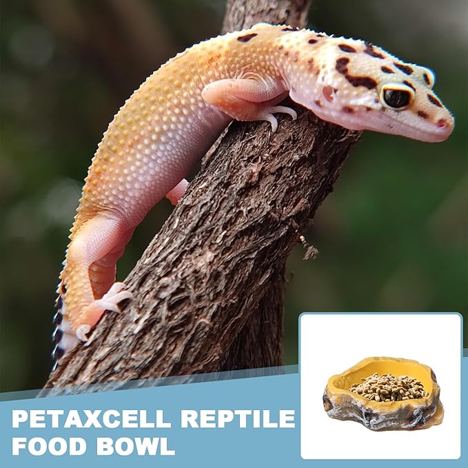 Reptile Food Bowl, Reptile Feeding Dish Corner Bowl Water Resin Rock Worm Feeder Dish l (10.6 in, Yellow), Intended for Lizards/o/Scaled Pet/Leopard o/Spiders