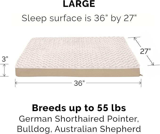 Furhaven Memory Foam Dog Bed for Large/Medium Dogs w/ Removable Washable Cover, For Dogs Up to 55 lbs - Ultra Plush Faux Fur & Suede Mattress - Cream, Large