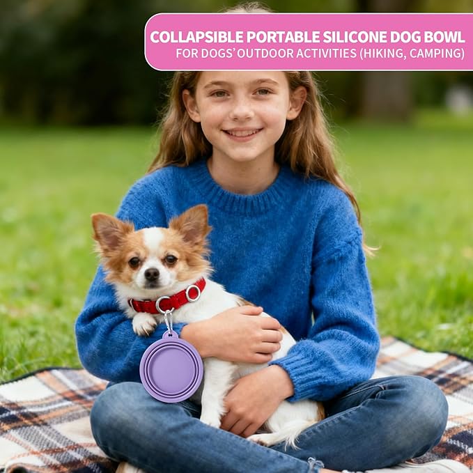 SLSON Collapsible Dog Bowl, 2Pack Macaron Color Pet Travel Bowls Silicone Foldable Water Feeder Dish for Small to Large Dogs Cat Walking Hiking Camping (Macaron Rose and Violet, Small)