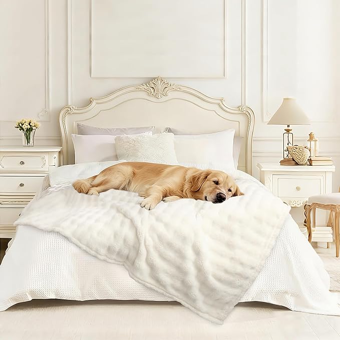 Dog Blankets Washable Pet Blanket - Fluffy Fuzzy Cat Puppy Blanket with Premium 300GSM 3D Fleece Bubble for Pet Kitten Doggy, Cream, 60x80IN