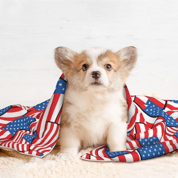 Two Sided Plush Pet Blanket for Crates Carriers Home Use, Novelty American Flag, Reversible Throw with Cozy Dot Fabric and Silky Reverse for Small Large Pets