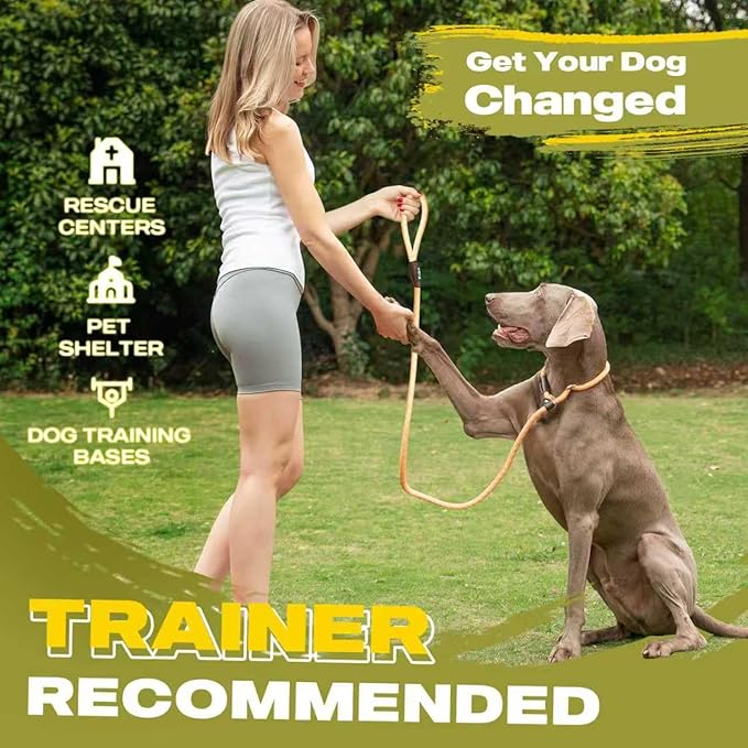 Fida Durable Slip Lead Dog Leash Bulk Pack of 5, Heavy Duty 1/2" x 6 FT Comfortable Strong Rope Slip Lead for Large, Medium Dogs No Pulling Pet Training Leash with Highly Reflective (Orange)