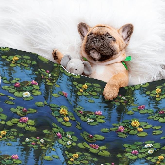 Pet Blanket for Couches and Beds, Water Lilies Monet Painting, Reversible Double Sided Plush Design with Soft Bumpy Texture and Smooth Surface, Furniture Protector