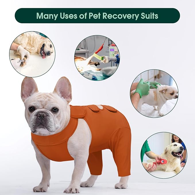 Kuoser Recovery Suit for Rear Legs, Thigh Wound Protective Sleeve, Recovery Sleeve for Female Male Dogs, Onesie After Surgery, Pet Surgical Suit for Spay Neuter, Brown M