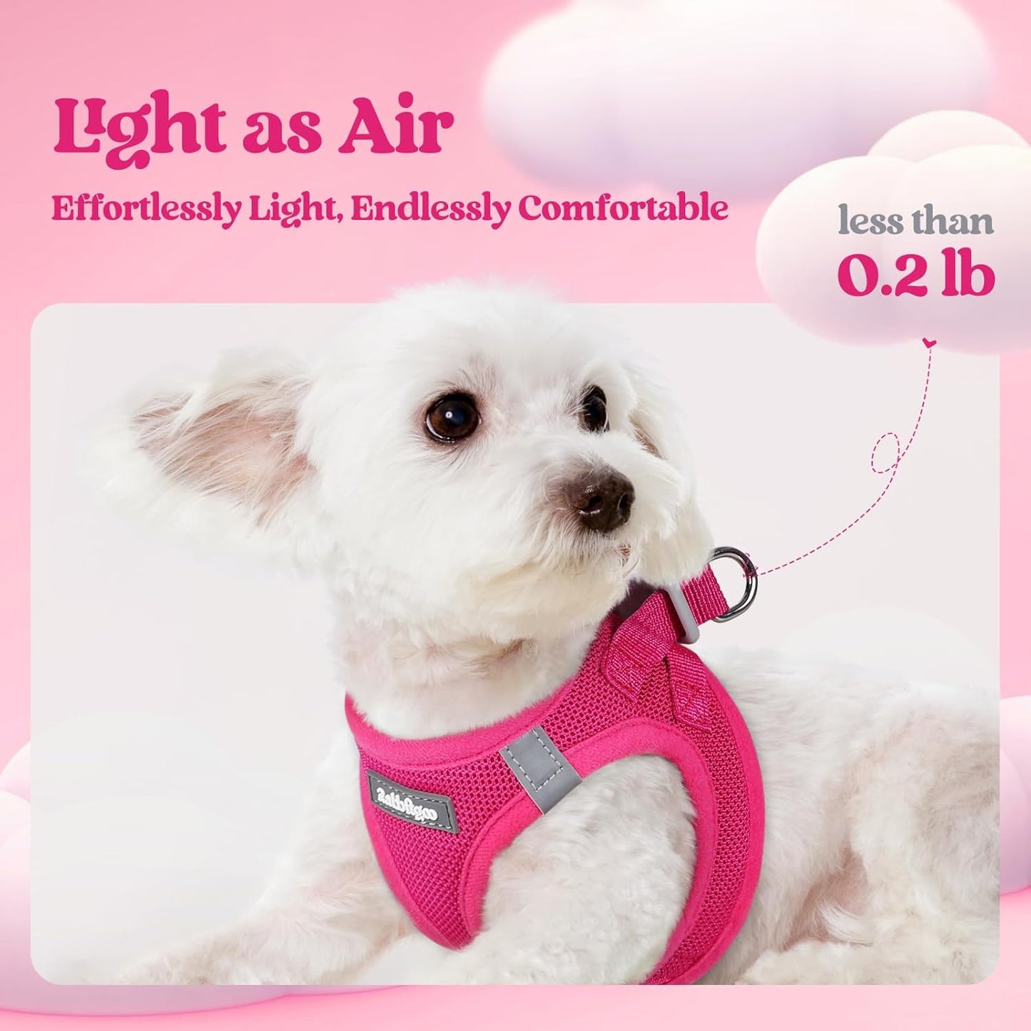 rabbitgoo Dog Harness Small Medium Sized and Leash Set, Step in Soft Light Puppy Vest, Breathable Mesh Pet Harness, Reflective for Safe Easy Walking, Rosa Red XL